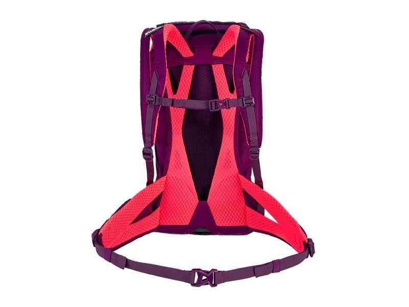 Plecak Salewa ALP TRAINER 20 WS - 6870/DARK PURPLE