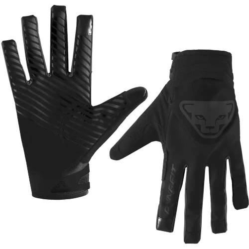 Rękawice Skiturowy Dynafit Radical 2 Softshell Gloves - black out